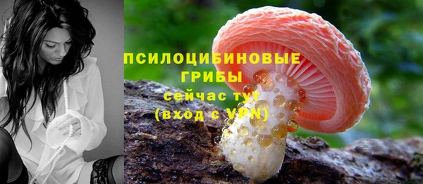меф Нягань