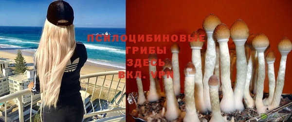 экстази Нязепетровск
