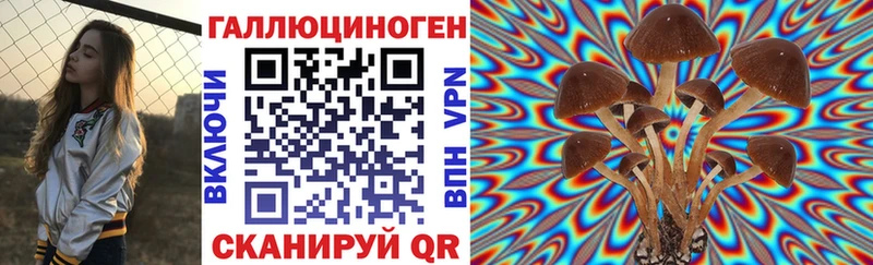 Псилоцибиновые грибы GOLDEN TEACHER Агидель